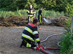 Prio 2 Berm Ruigte Brand De Miedwei Twijzel